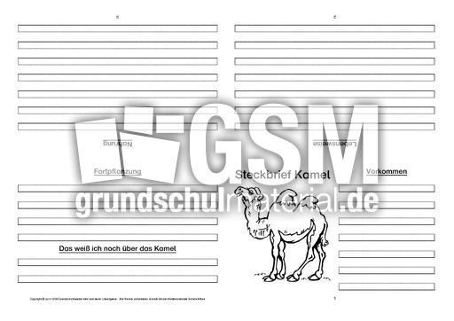 Kamel-Faltbuch-vierseitig-2.pdf